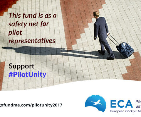 pilotUnity safetynet